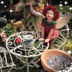 Meet your Posher, Annalissa